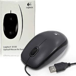 Logitech B100-1