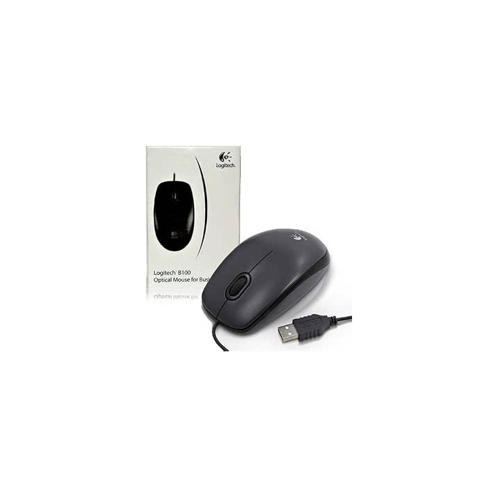 Logitech B100-1