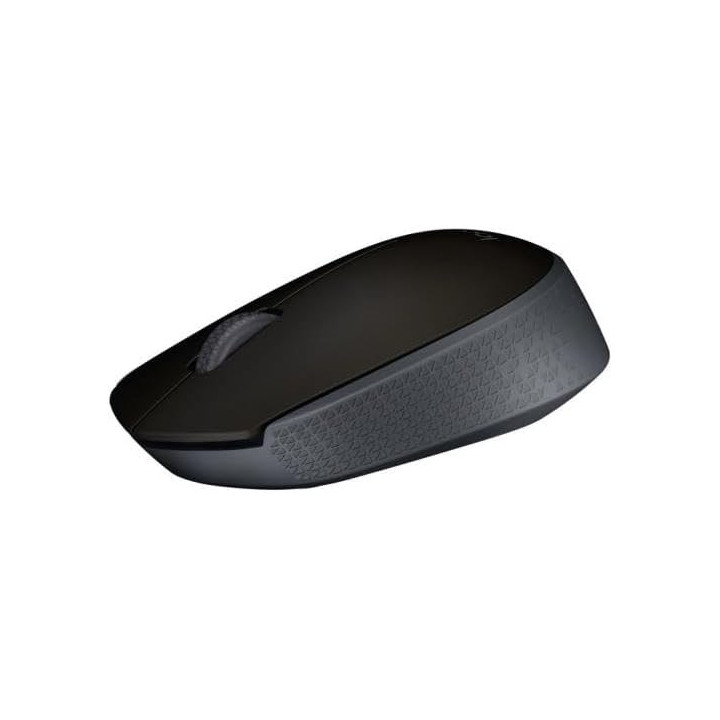 Logitech M171